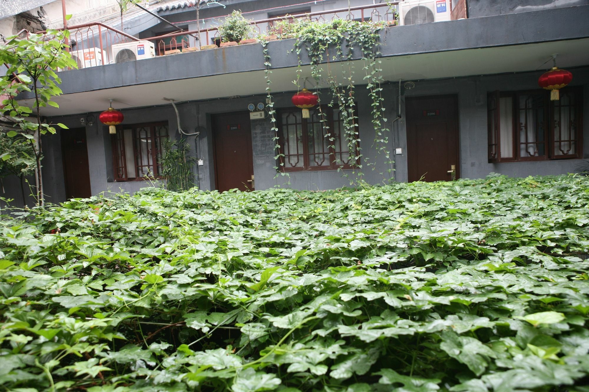 Shuyuan Youth Hostel Xi'An Сиань Экстерьер фото